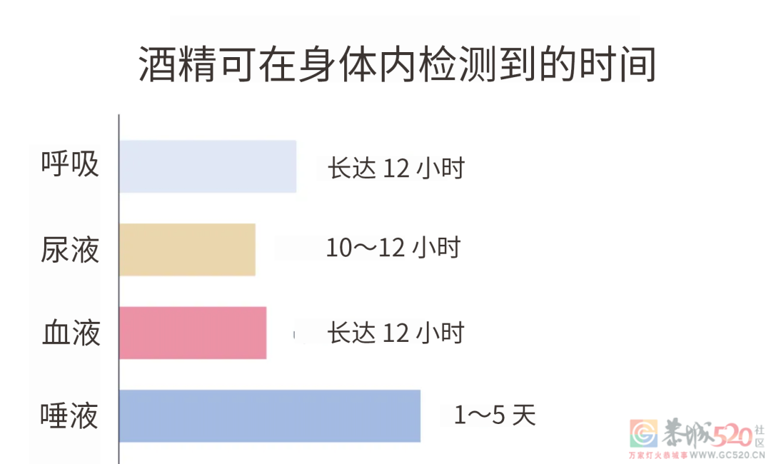 喝醉后的 12 小时，身体都发生了什么？47 / 作者:健康小天使 / 帖子ID:294759
