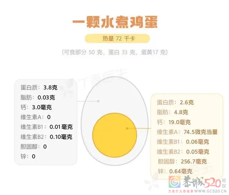 官方最新发布来了！更适合中国人的 10 个吃饭建议，赶紧学890 / 作者:健康小天使 / 帖子ID:294918