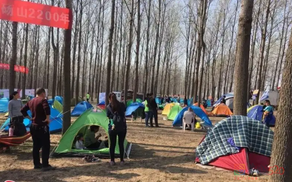 网红露营，比大学澡堂还挤496 / 作者:儿时的回忆 / 帖子ID:295066
