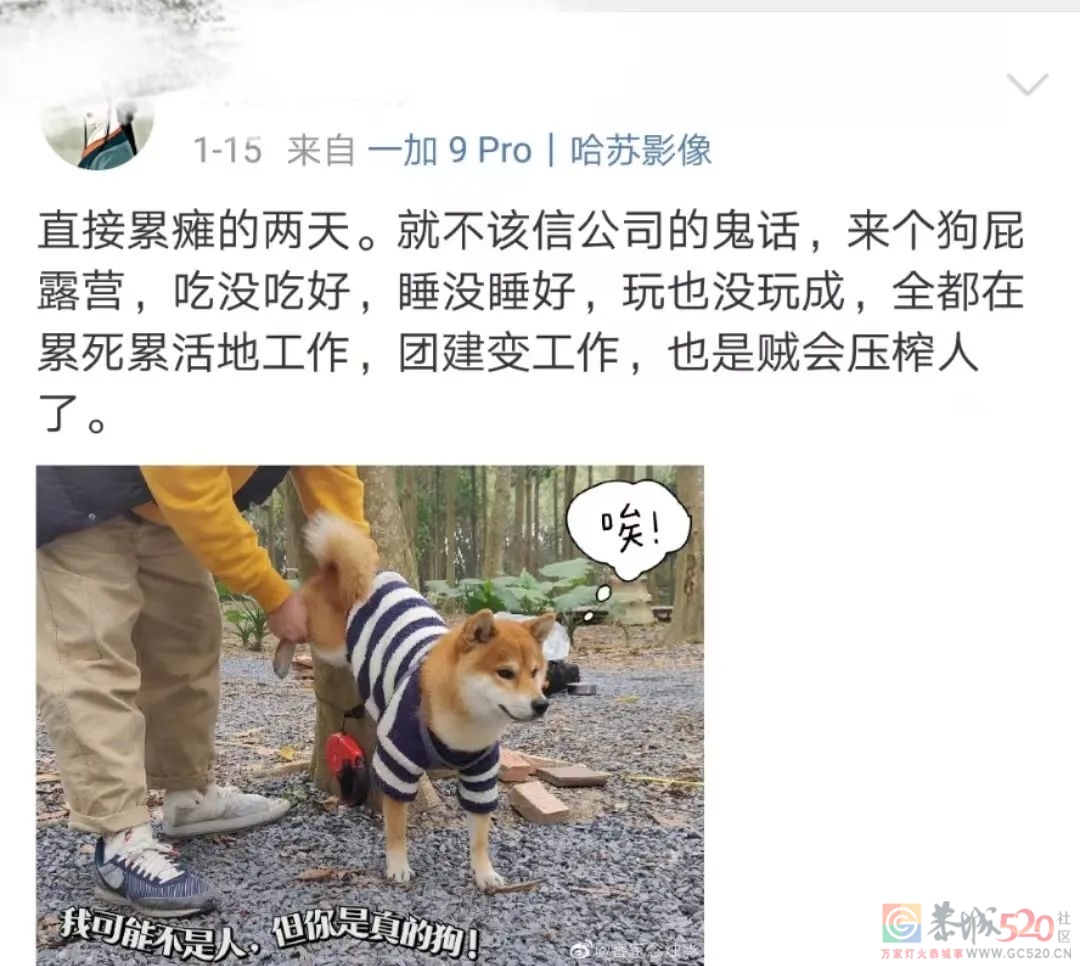 网红露营，比大学澡堂还挤320 / 作者:儿时的回忆 / 帖子ID:295066