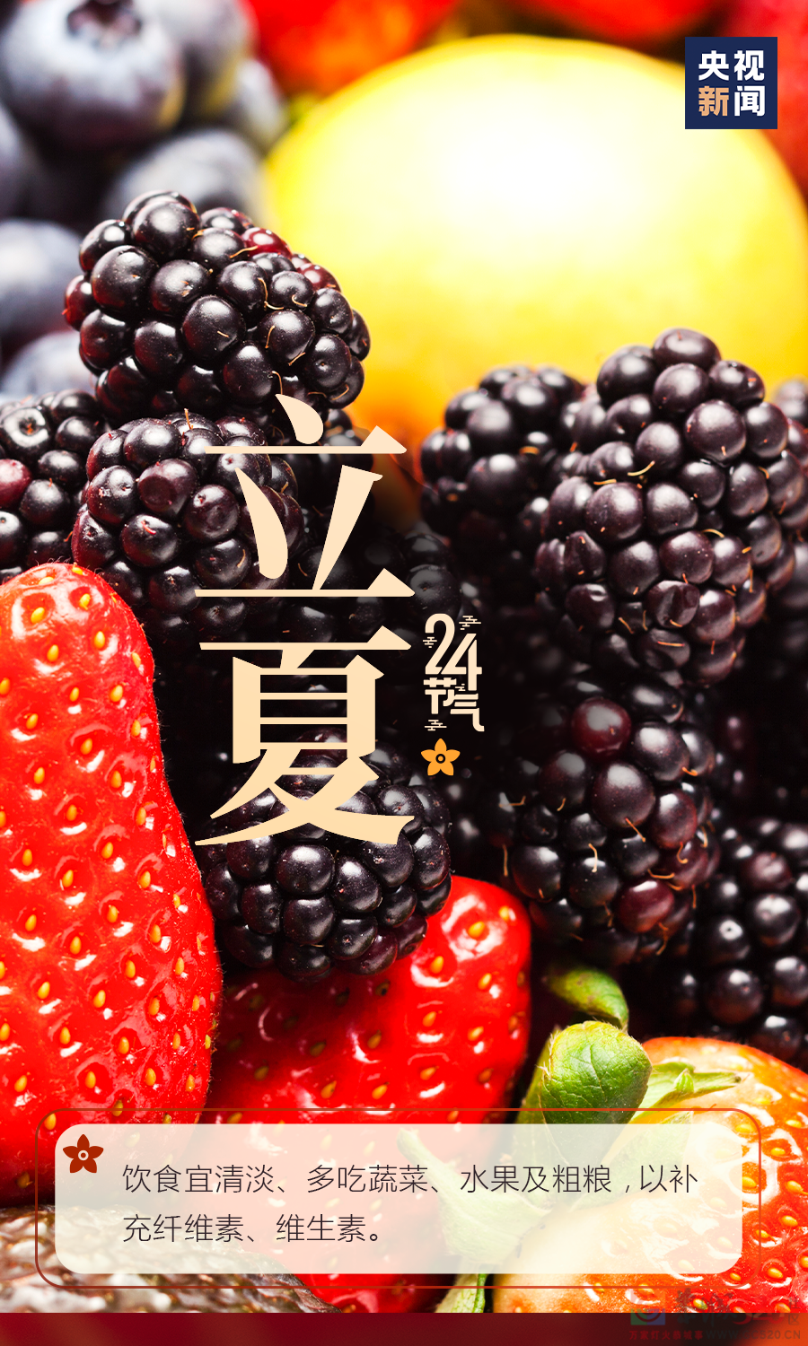 你好，夏天！139 / 作者:登山涉水 / 帖子ID:295092