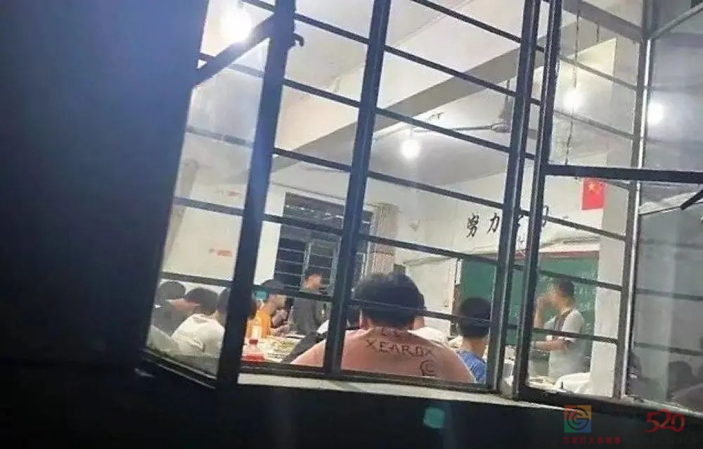 “混”在职校里的学生，与被分流的人生515 / 作者:儿时的回忆 / 帖子ID:295375