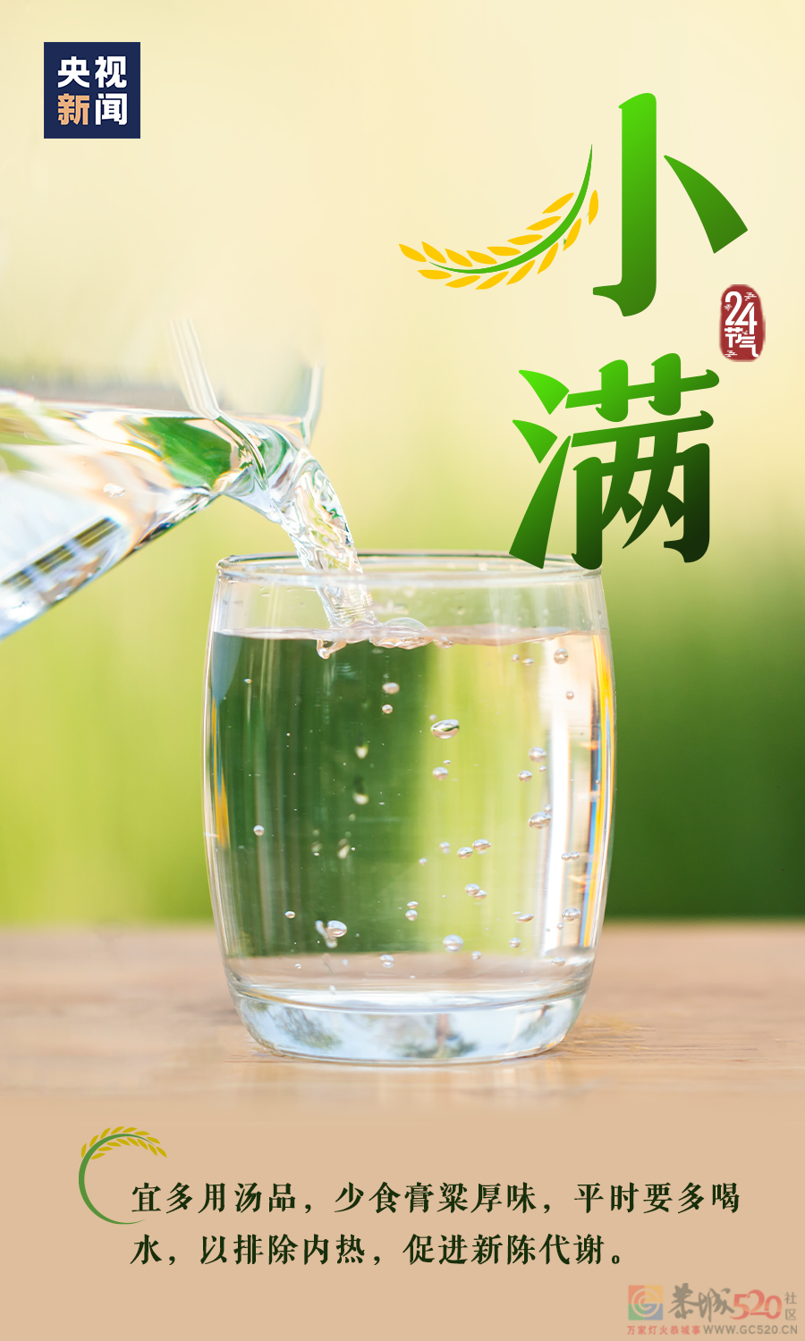 今日，小满815 / 作者:登山涉水 / 帖子ID:295614