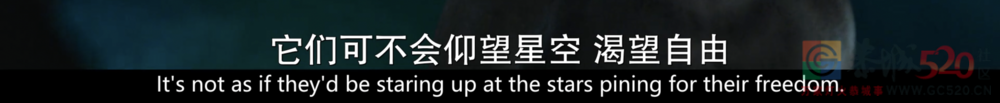 《爱，死亡与机器人》：重返科幻巅峰795 / 作者:该做的事情 / 帖子ID:295646