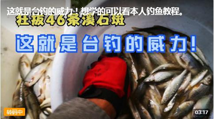 《这就是台钓的威力！！！》868 / 作者:MDG / 帖子ID:295697