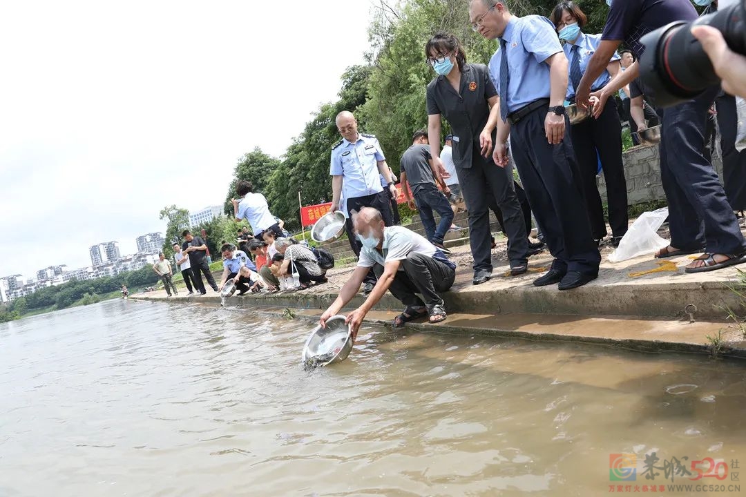 茶江边的庭审 | 恭城法院以恢复性司法实践护卫瑶乡绿水青山557 / 作者:论坛小编01 / 帖子ID:295995