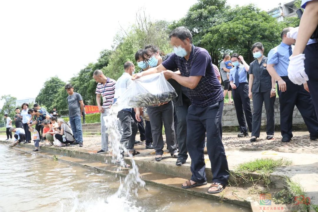茶江边的庭审 | 恭城法院以恢复性司法实践护卫瑶乡绿水青山168 / 作者:论坛小编01 / 帖子ID:295995