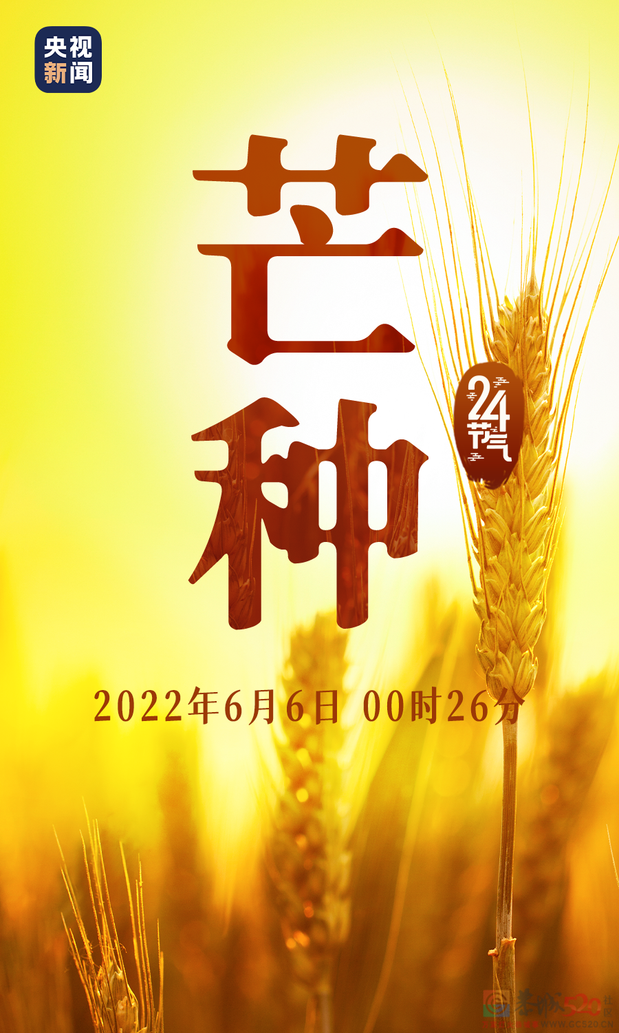 今日，芒种451 / 作者:登山涉水 / 帖子ID:296106