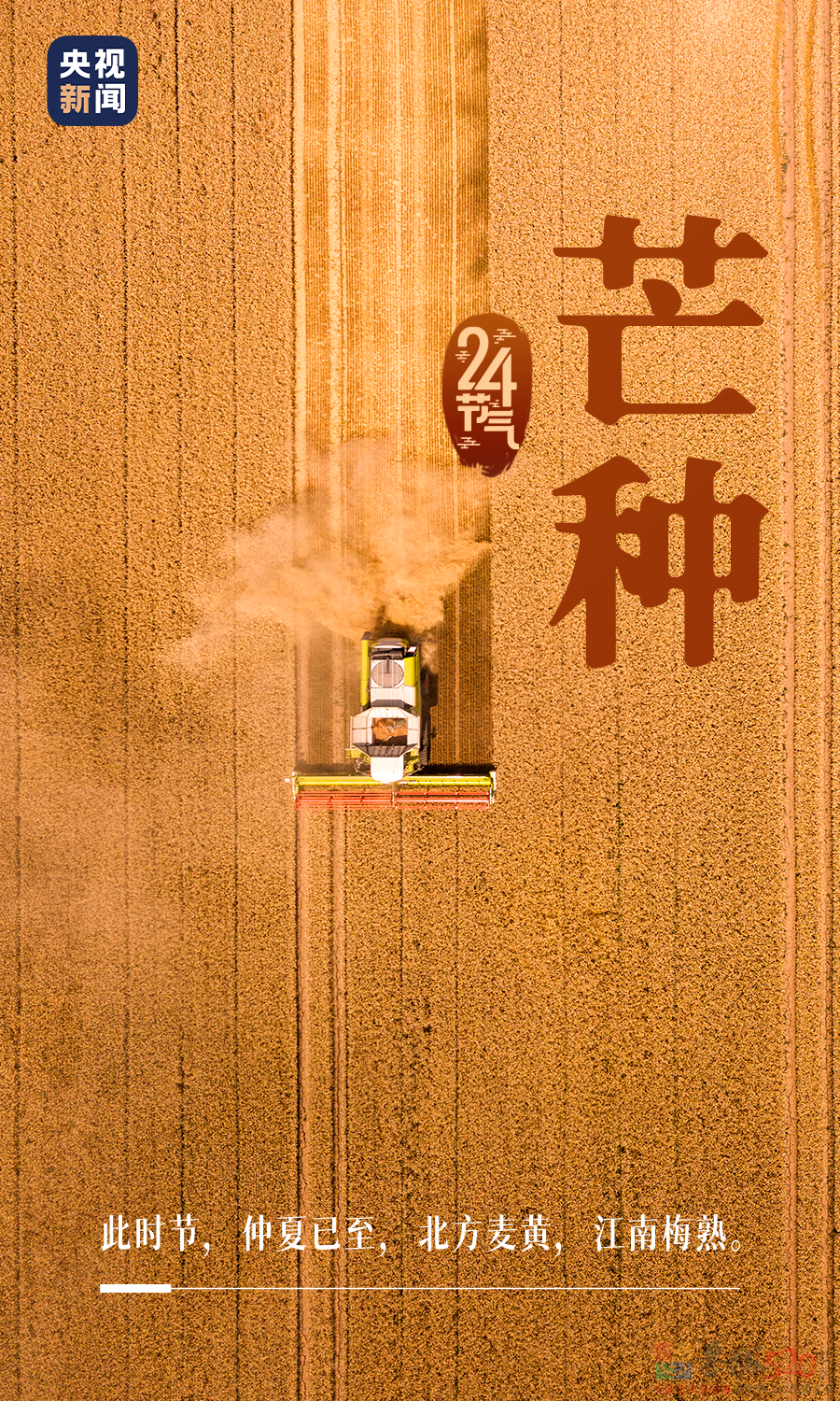 今日，芒种774 / 作者:登山涉水 / 帖子ID:296106