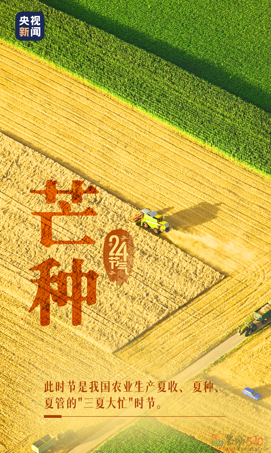 今日，芒种532 / 作者:登山涉水 / 帖子ID:296106
