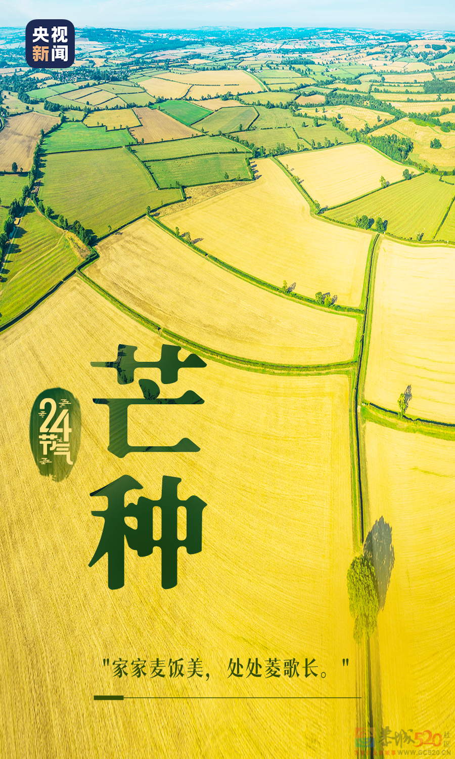 今日，芒种355 / 作者:登山涉水 / 帖子ID:296106