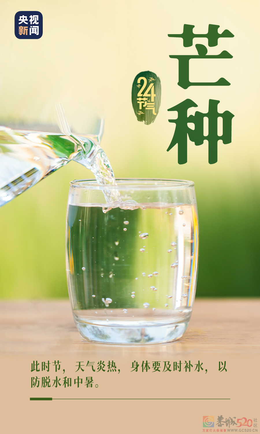今日，芒种891 / 作者:登山涉水 / 帖子ID:296106