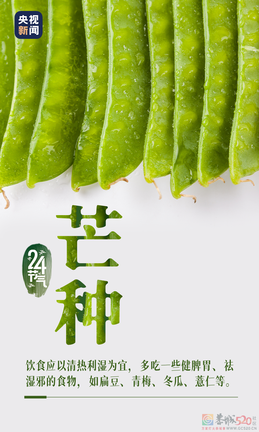 今日，芒种914 / 作者:登山涉水 / 帖子ID:296106