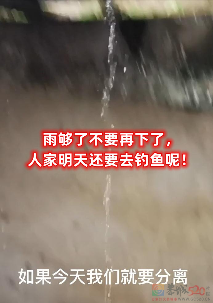《雨够了不要再下了，人家明天还要去钓鱼呢！》688 / 作者:MDG / 帖子ID:296265