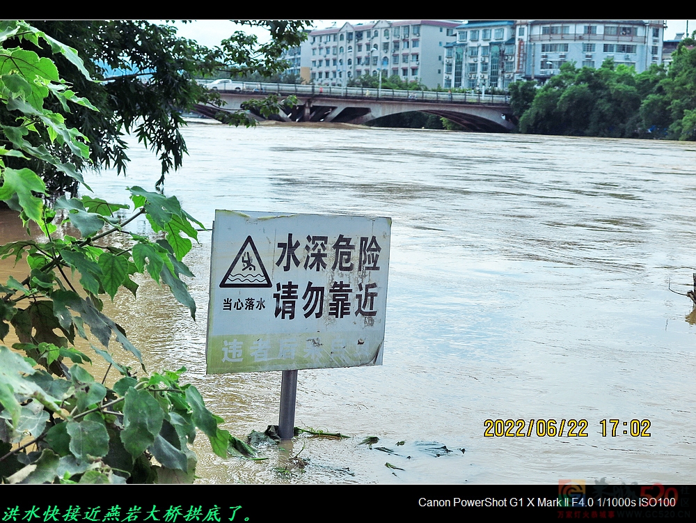 一组现场图片对比让你看下今年洪水远比2015、5、20日的大。191 / 作者:平安大叔 / 帖子ID:296684