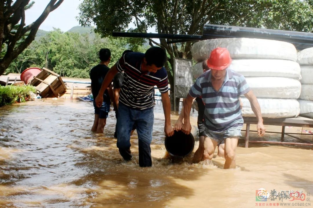 自来水公司职工用汗水换万家“清泉”279 / 作者:论坛小编01 / 帖子ID:296782