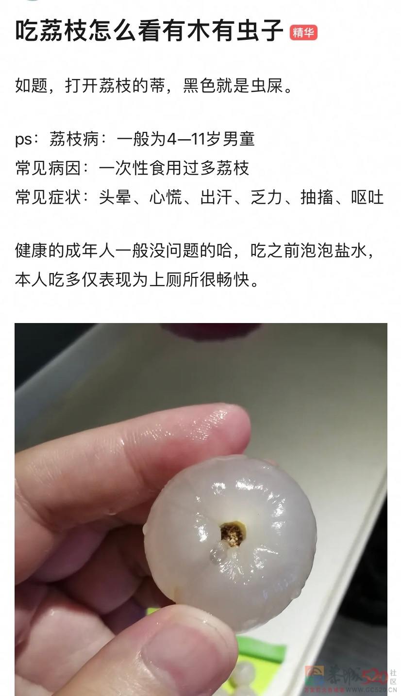 原来我一直在吃荔枝虫子411 / 作者:闲不住a / 帖子ID:297111