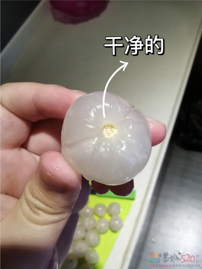 原来我一直在吃荔枝虫子757 / 作者:闲不住a / 帖子ID:297111