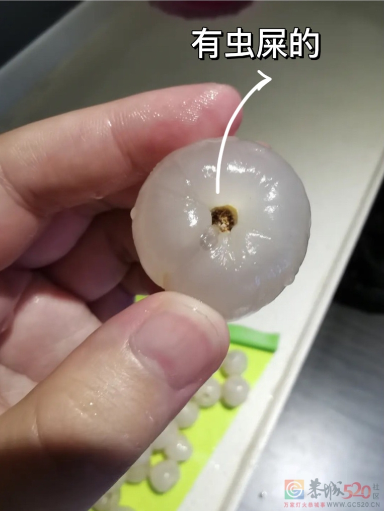 原来我一直在吃荔枝虫子289 / 作者:闲不住a / 帖子ID:297111
