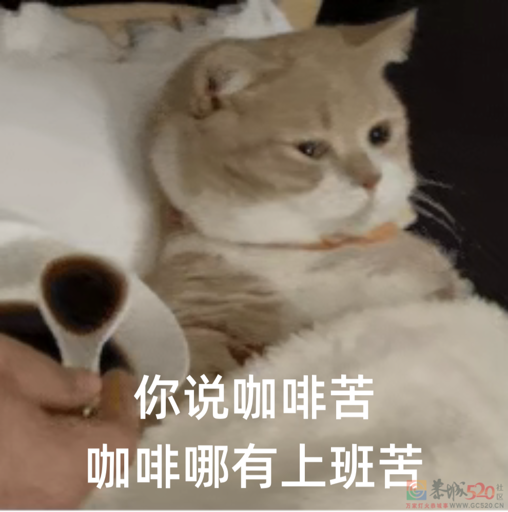 这 3 种喝咖啡的方式，真的让人越喝越困！698 / 作者:健康小天使 / 帖子ID:297547