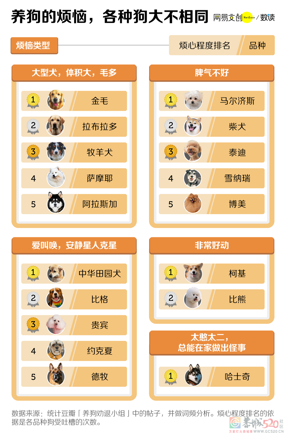 养狗劝退报告：钱包空了人快疯了653 / 作者:儿时的回忆 / 帖子ID:297646