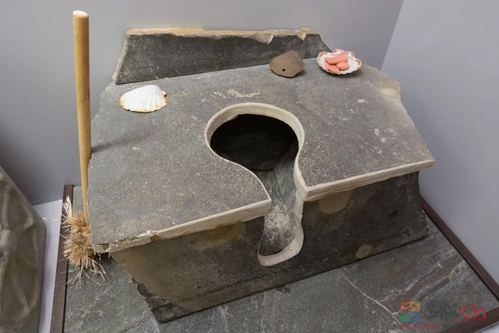 为什么人要擦屁股，动物却不用854 / 作者:儿时的回忆 / 帖子ID:297782