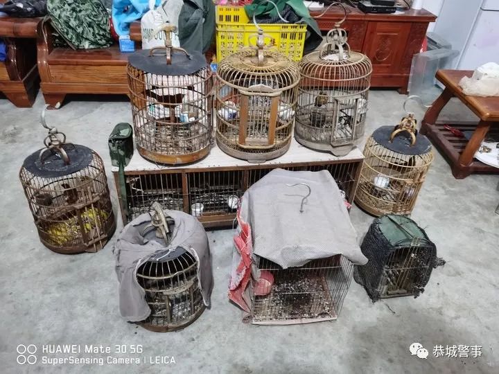 恭城公安破获危害珍贵、濒危野生动物系列案19起447 / 作者:论坛小编01 / 帖子ID:298364