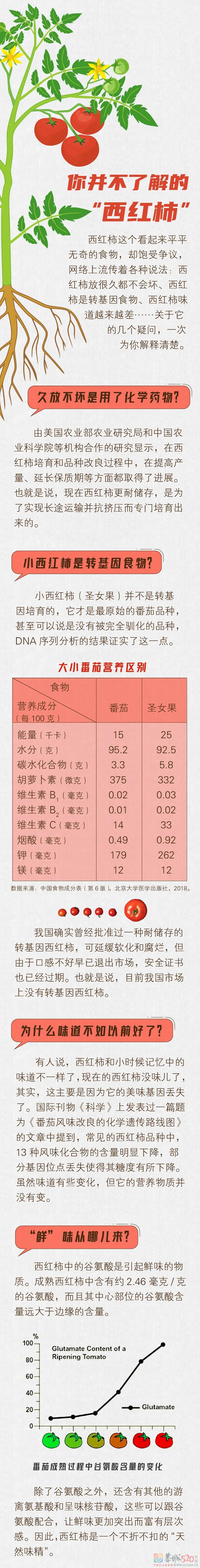 西红柿：鲜红的外表下，藏着一颗“养生”的心846 / 作者:健康小天使 / 帖子ID:298470