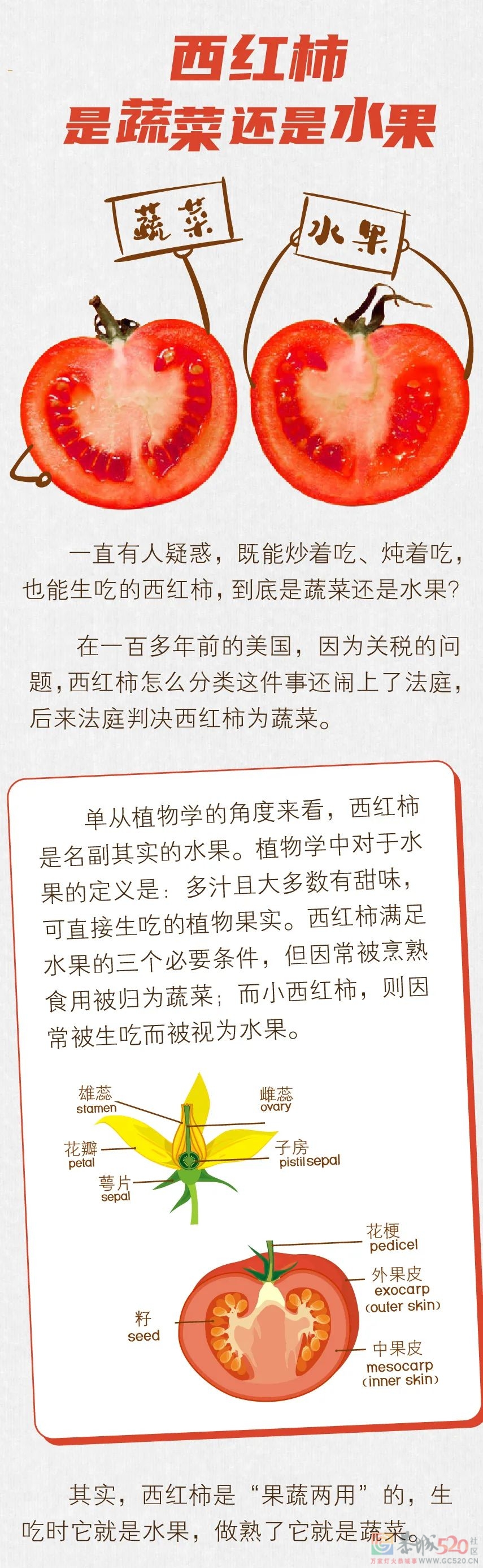 西红柿：鲜红的外表下，藏着一颗“养生”的心174 / 作者:健康小天使 / 帖子ID:298470