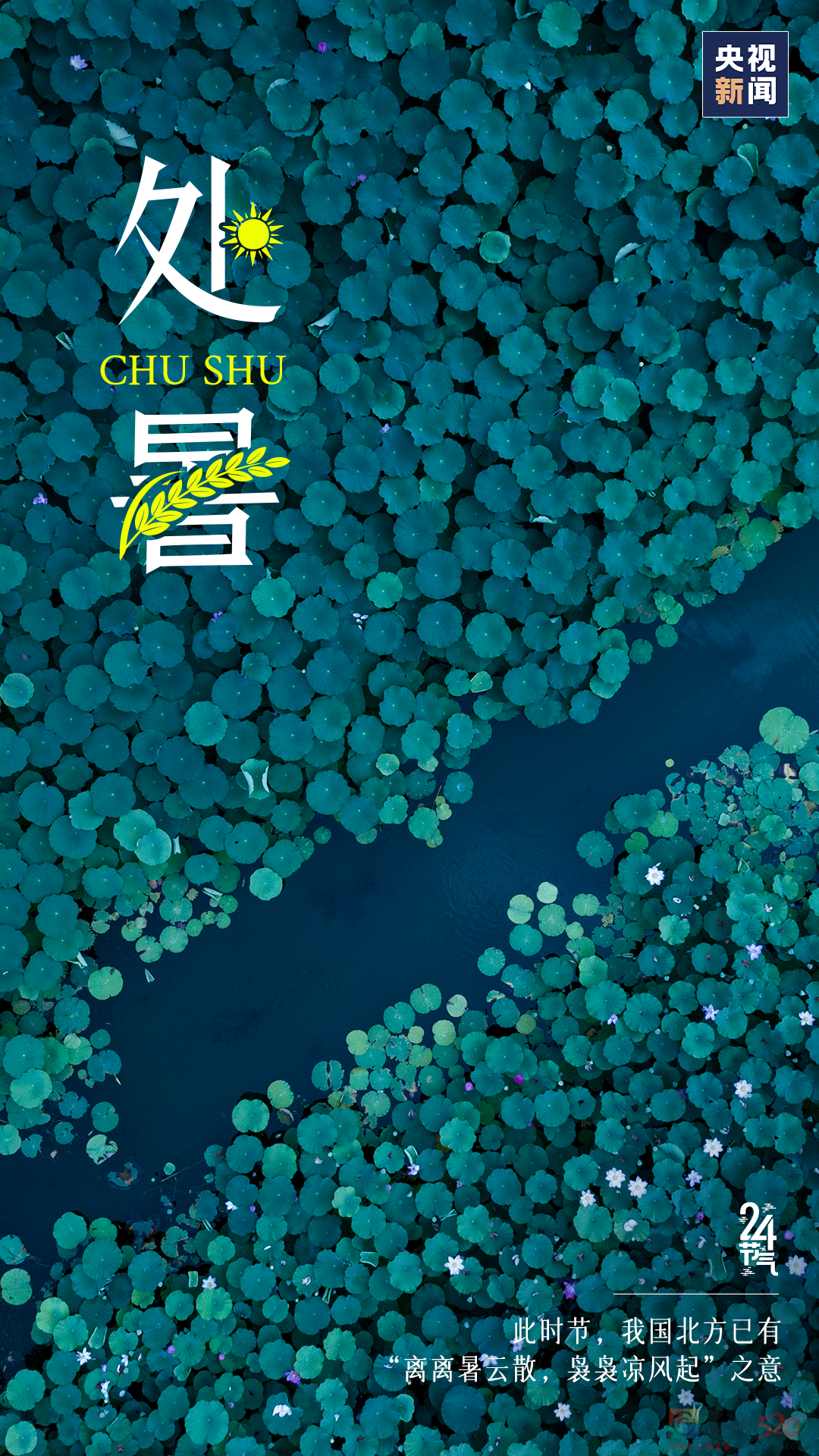 今日，处暑326 / 作者:登山涉水 / 帖子ID:298720