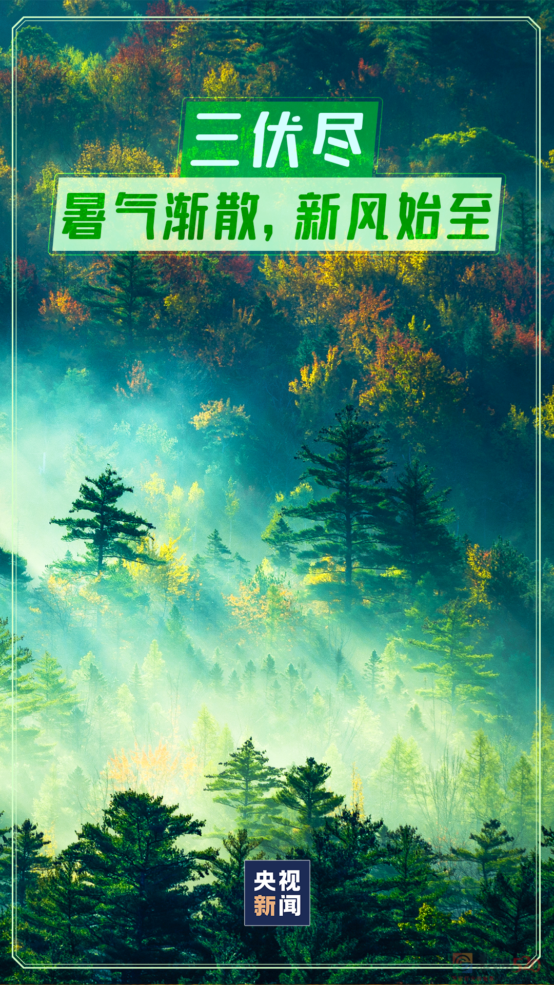 再见，夏天！967 / 作者:登山涉水 / 帖子ID:298781