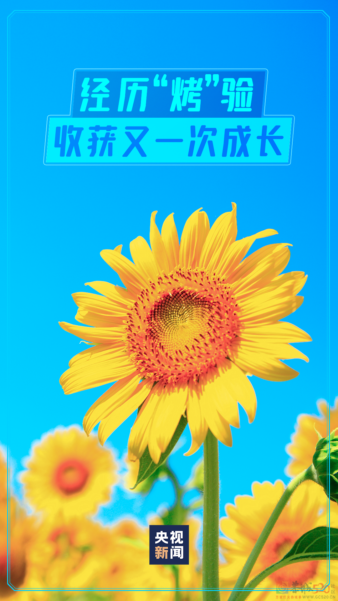 再见，夏天！757 / 作者:登山涉水 / 帖子ID:298781