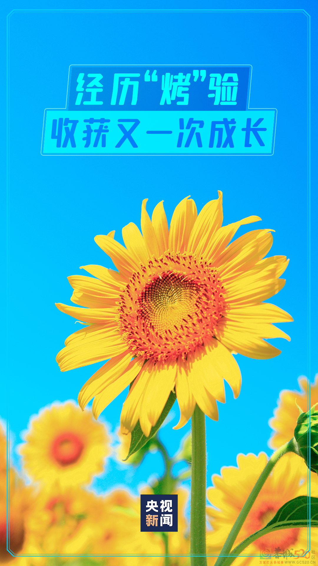 再见，夏天！362 / 作者:登山涉水 / 帖子ID:298781