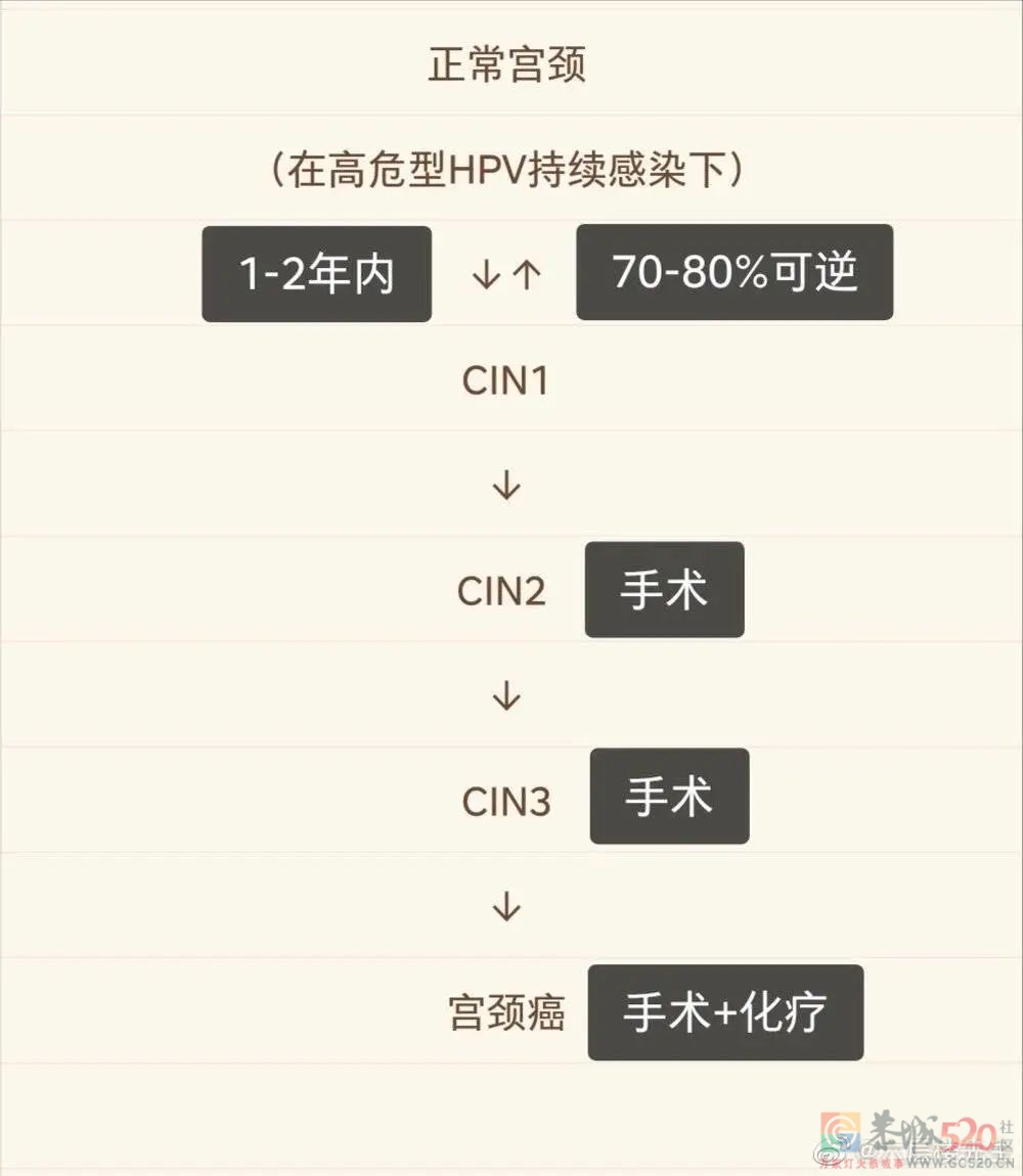 被“HPV焦虑”围猎的女孩们165 / 作者:儿时的回忆 / 帖子ID:298848