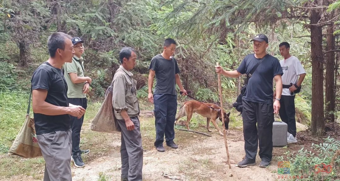 桂林警方连破两起重大刑案516 / 作者:论坛小编01 / 帖子ID:298920