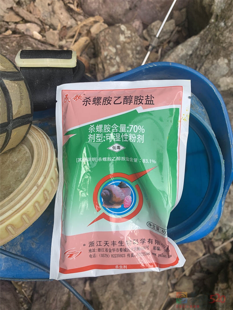 昨天有人在杨溪村水源毒鱼，今天消防队来送水了