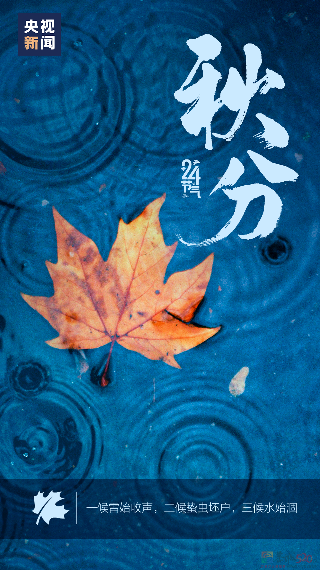 今日秋分146 / 作者:登山涉水 / 帖子ID:299672