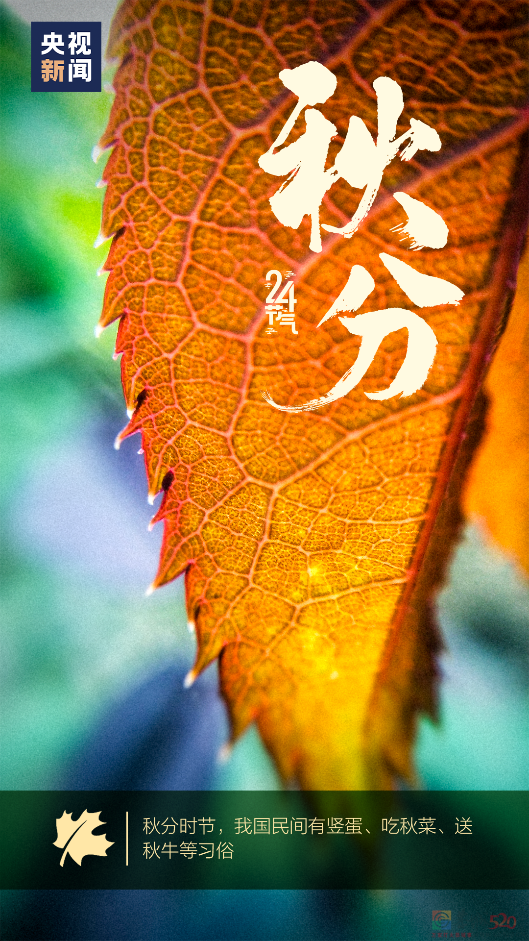 今日秋分751 / 作者:登山涉水 / 帖子ID:299672