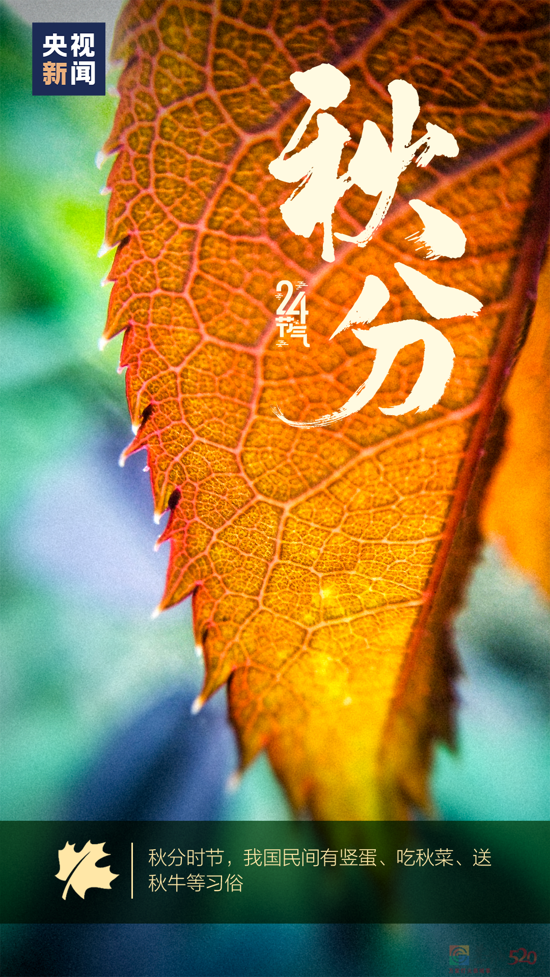 今日秋分124 / 作者:登山涉水 / 帖子ID:299672