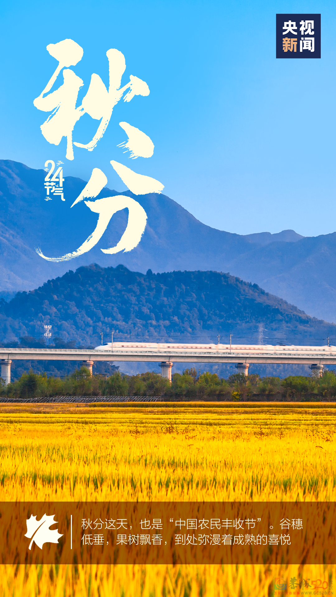 今日秋分136 / 作者:登山涉水 / 帖子ID:299672