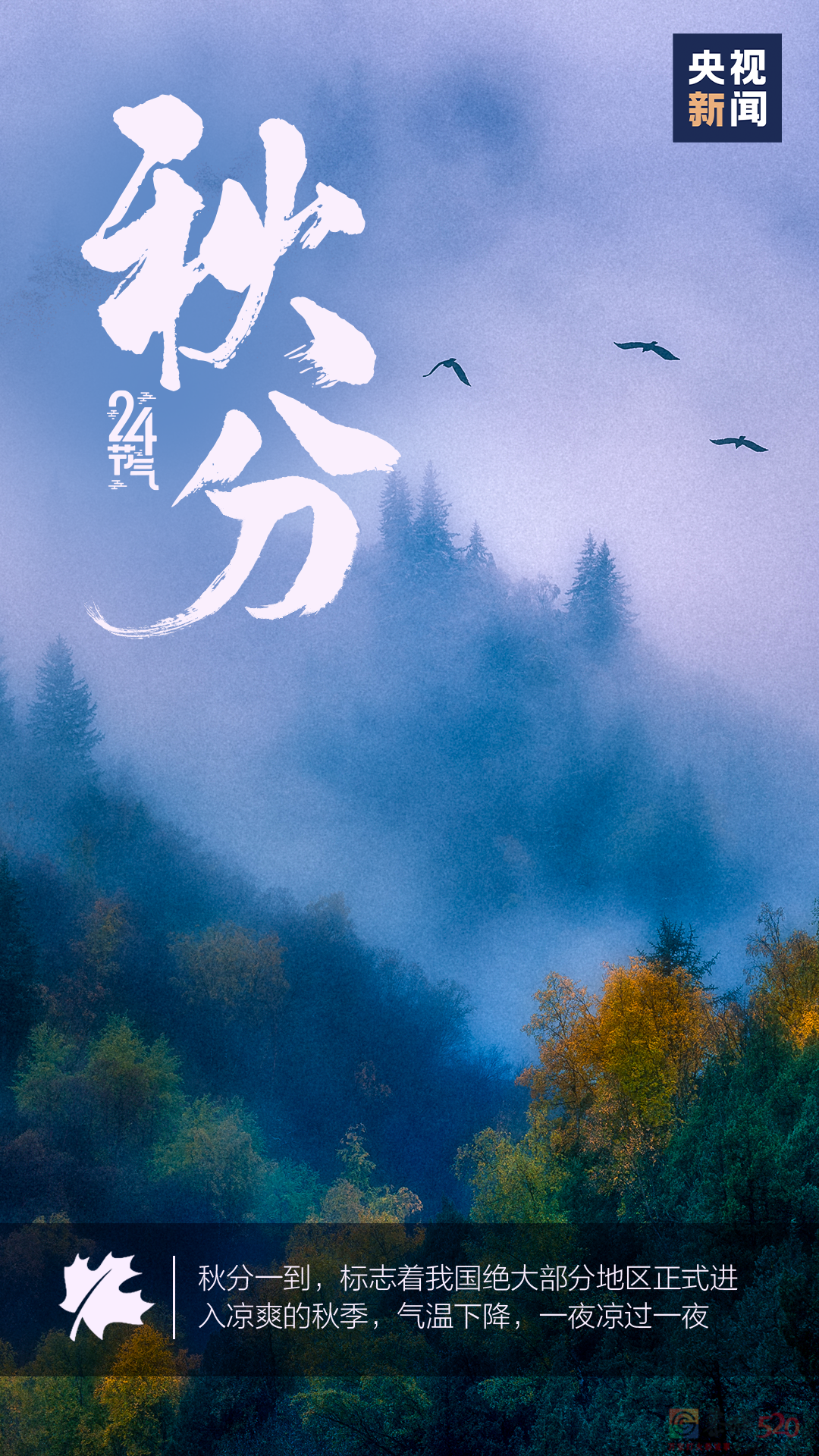 今日秋分513 / 作者:登山涉水 / 帖子ID:299672