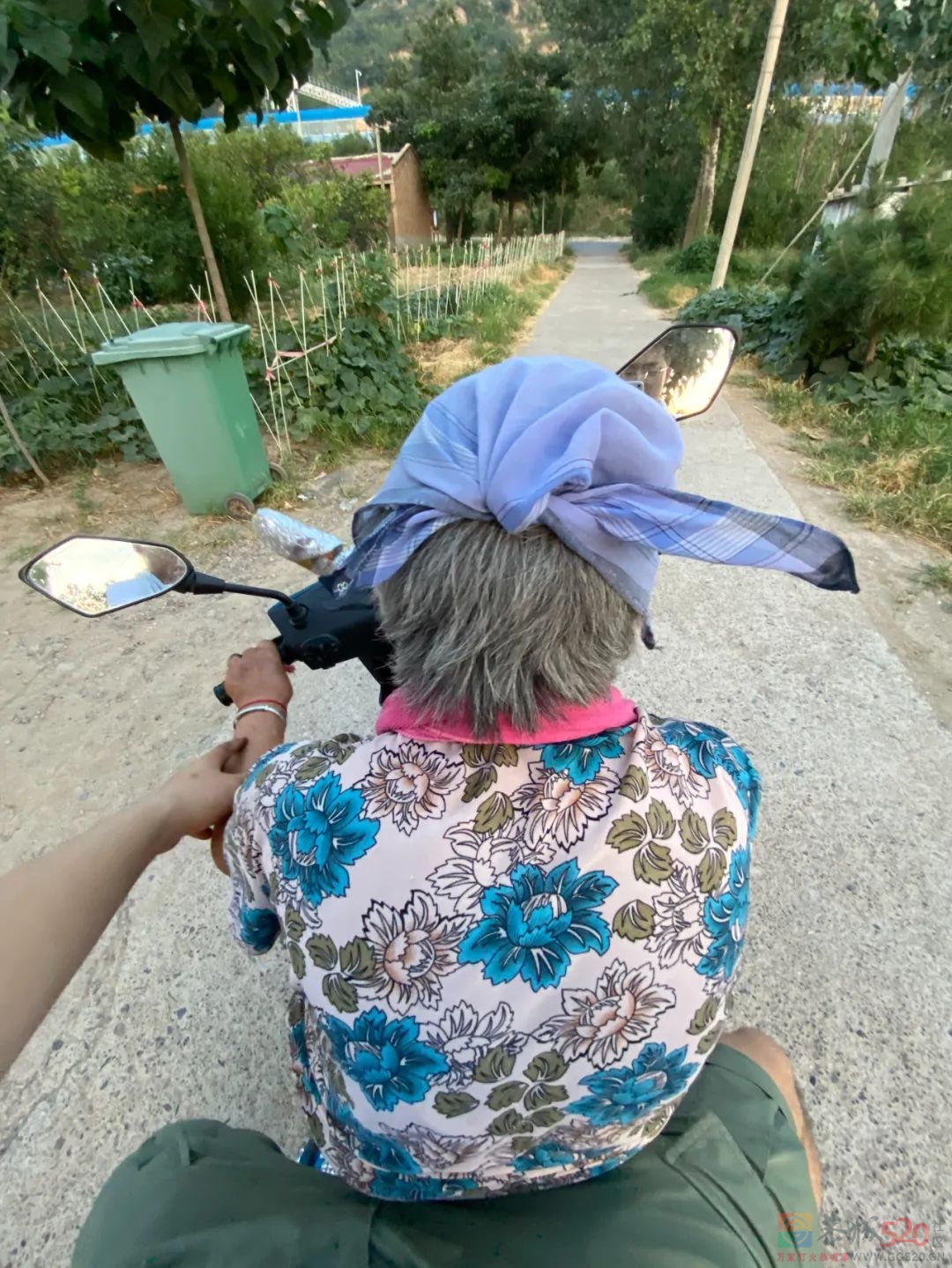 这一代独生子女，最终选择回家照顾父母220 / 作者:儿时的回忆 / 帖子ID:299881