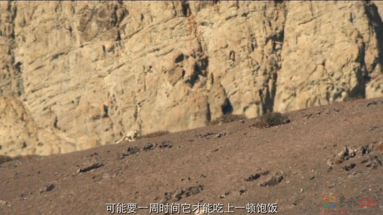 9.4分神作，但我不建议未成年观看......6 / 作者:该做的事情 / 帖子ID:300000