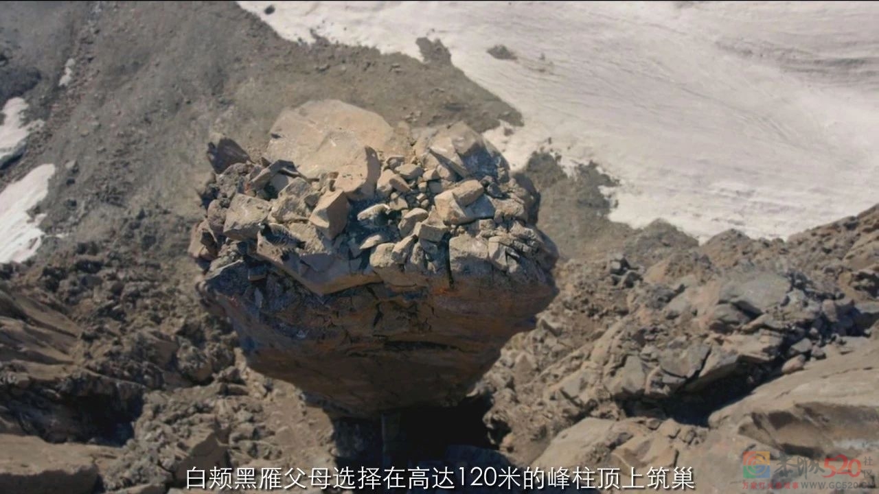9.4分神作，但我不建议未成年观看......872 / 作者:该做的事情 / 帖子ID:300000