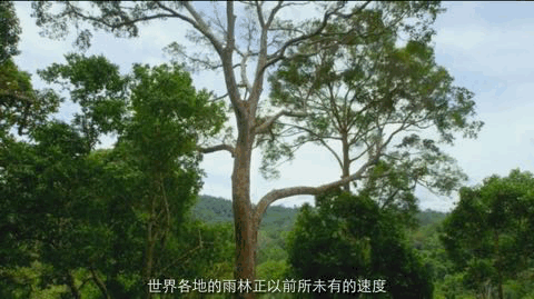 9.4分神作，但我不建议未成年观看......628 / 作者:该做的事情 / 帖子ID:300000