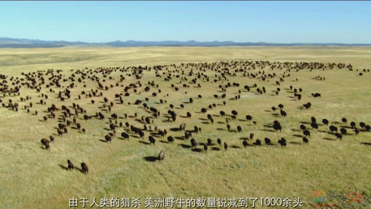 9.4分神作，但我不建议未成年观看......951 / 作者:该做的事情 / 帖子ID:300000