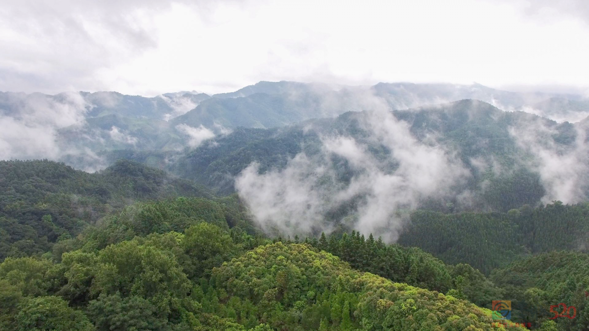 广西公布这项“绿色数据”，桂林排第一！672 / 作者:论坛小编01 / 帖子ID:300224