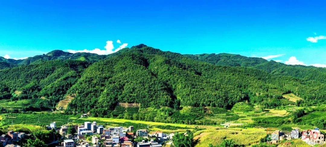 广西公布这项“绿色数据”，桂林排第一！519 / 作者:论坛小编01 / 帖子ID:300224