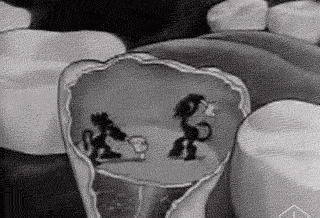 既然「智齿」不宜久留，为什么不能一次性拔掉？319 / 作者:健康小天使 / 帖子ID:301684