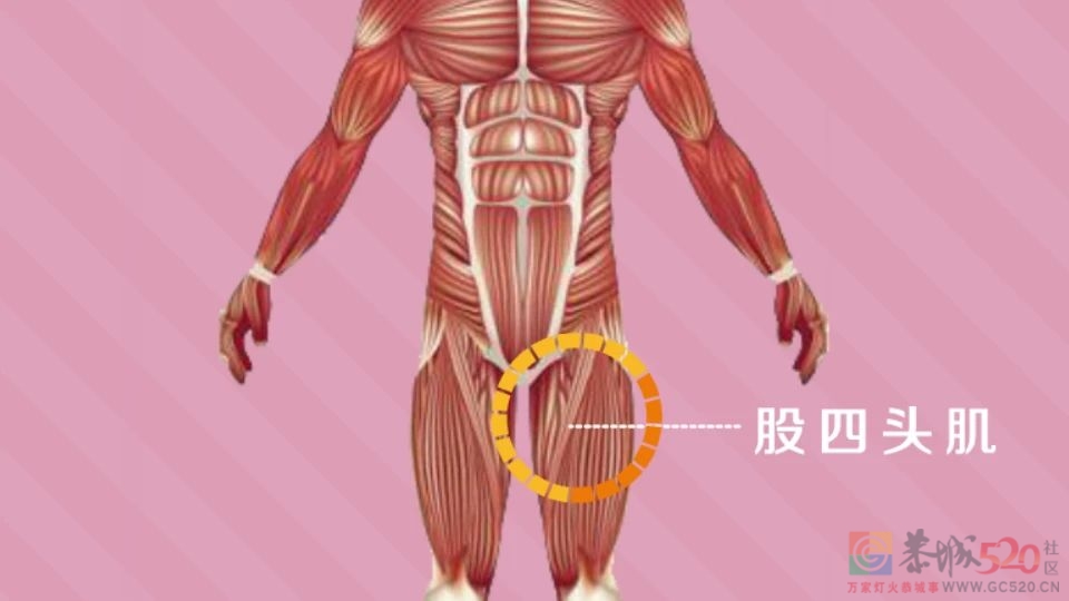 「大腿肌肉」有多重要？看看世界杯运动员就知道了422 / 作者:健康小天使 / 帖子ID:301736